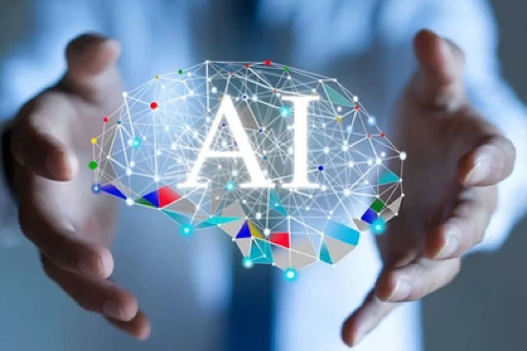 Deep Learning Training Efficiency